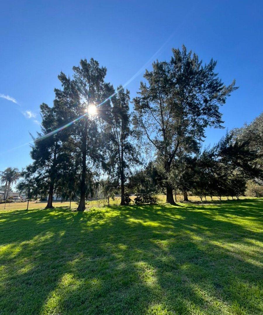 Lote HARAS DEL PILAR