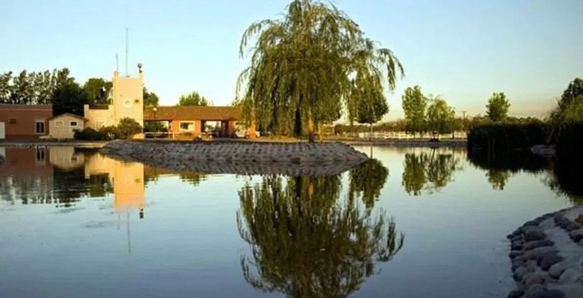 Lote HARAS DEL PILAR 3