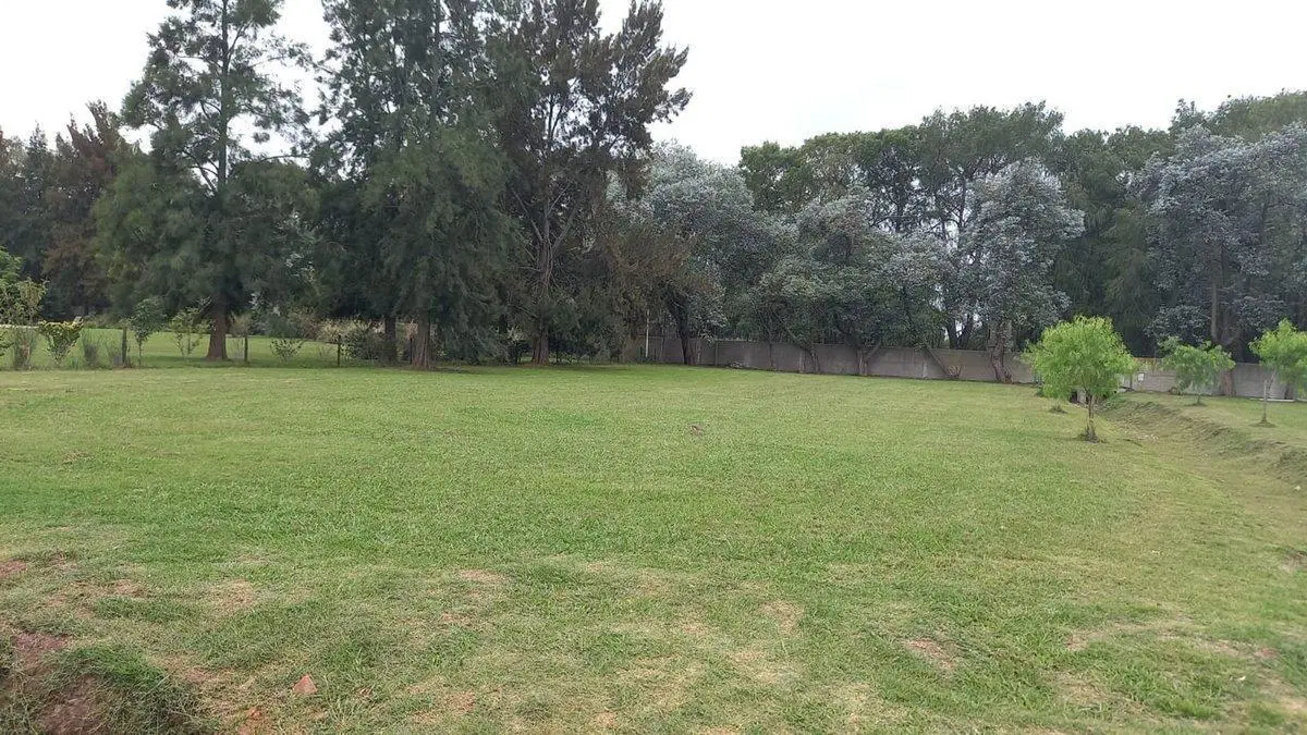 Lote HARAS DEL PILAR 4