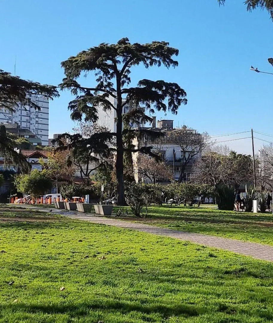 VENTA V. ORTUZAR 700 M2 VENDIBLES FTE A LA PLAZA 2