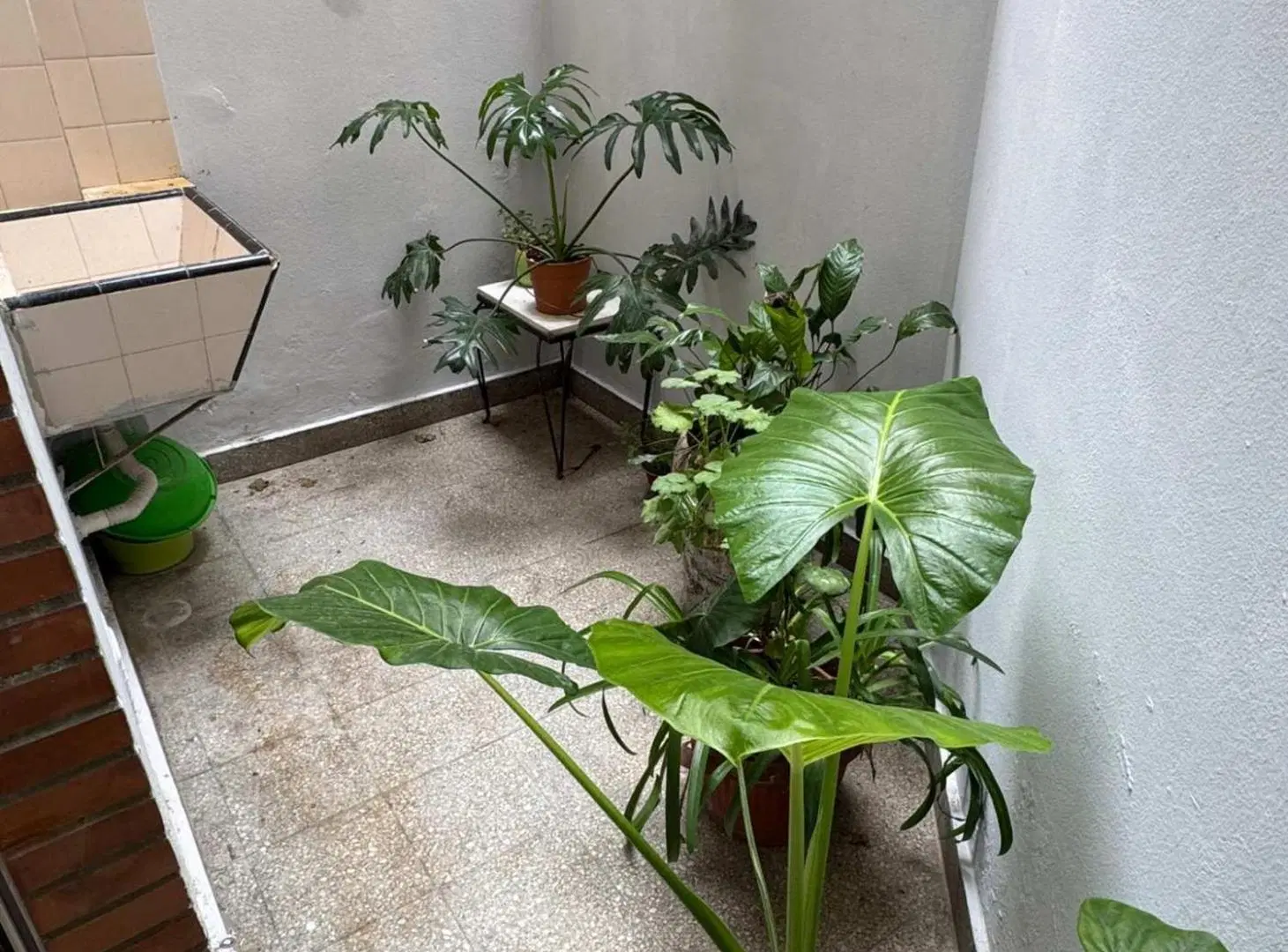 VENTA Depto dos ambientes con PATIO en PALERMO 5