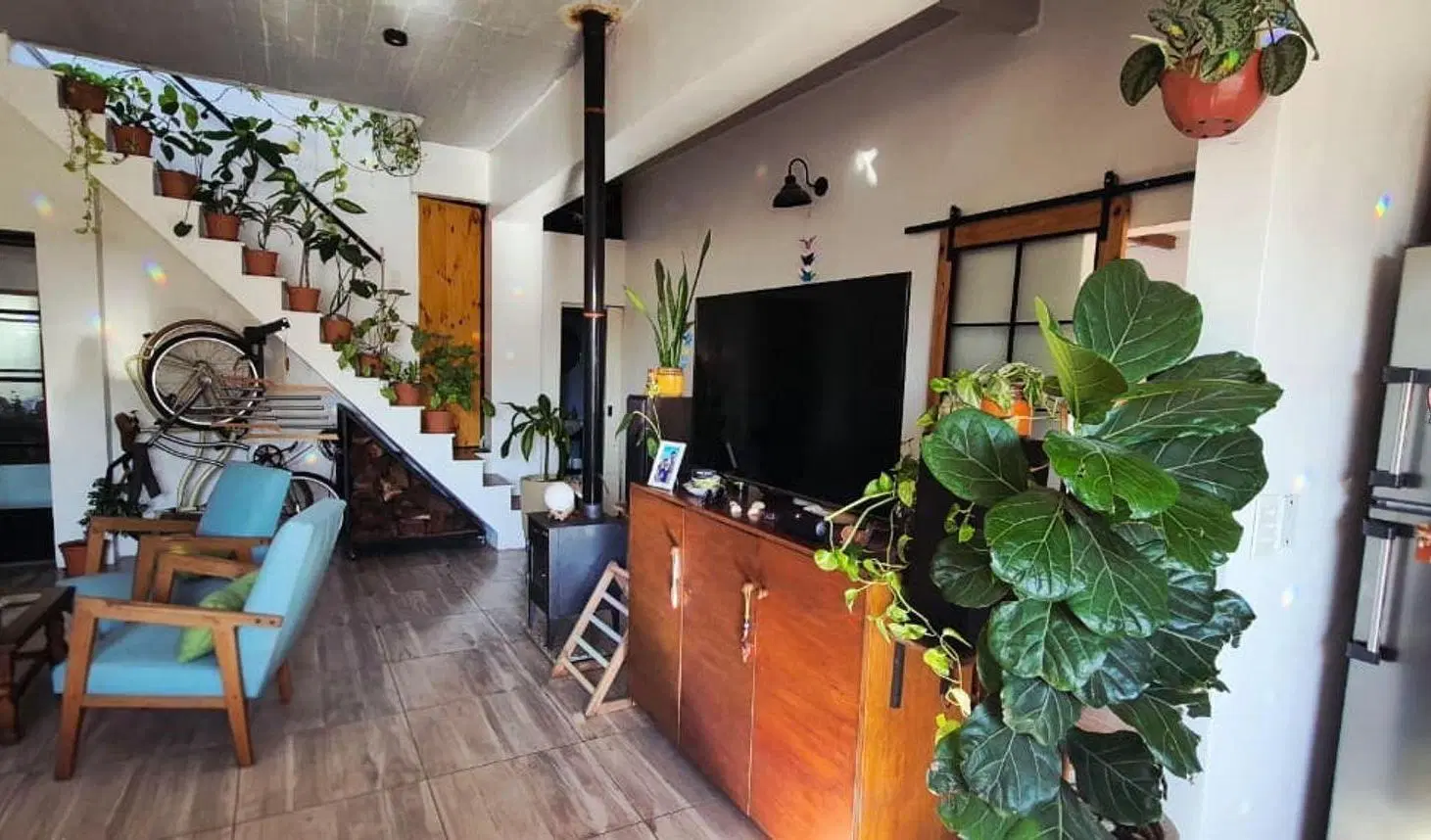 CÁLIDO PH, CON ALMA BOHO E IMPRONTA URBAN JUNGLE 2