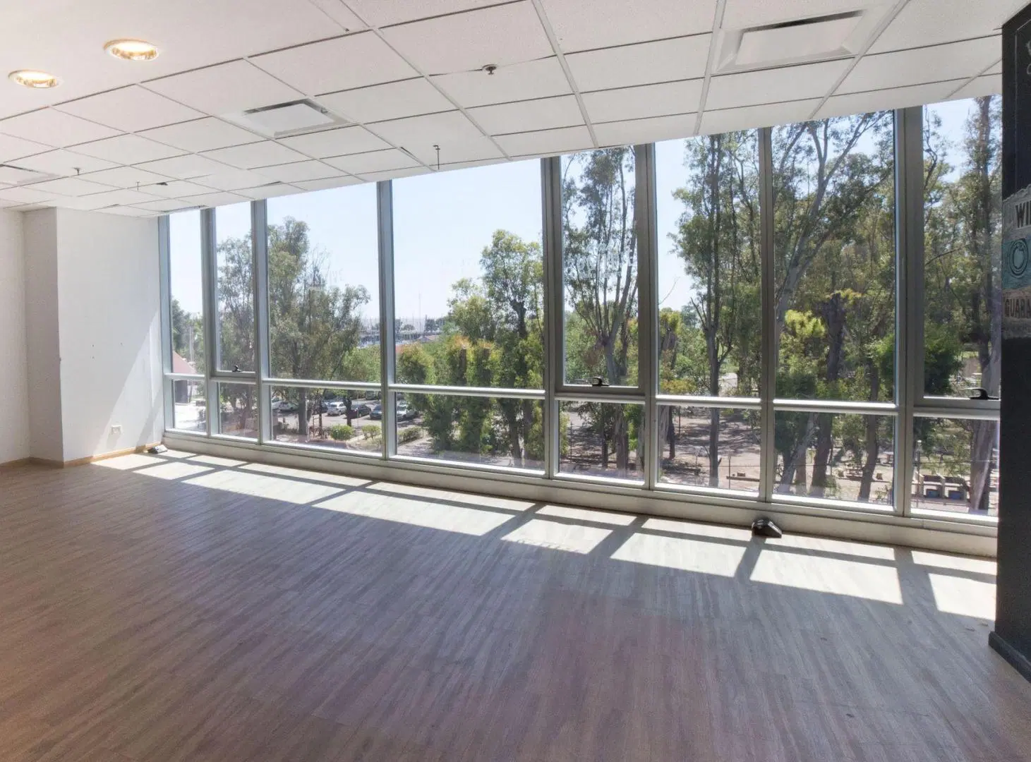 OFICINAS 930 m2 PLANTA LIBRE en OLIVO, 18 cocheras 3