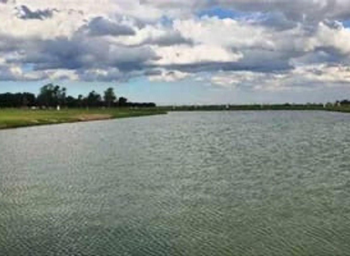 Foto de Venta de Lote 600 mts, imagen 3