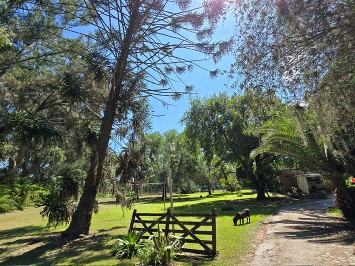 Foto de VENTA CASA QUINTA CAMPANA, imagen 4