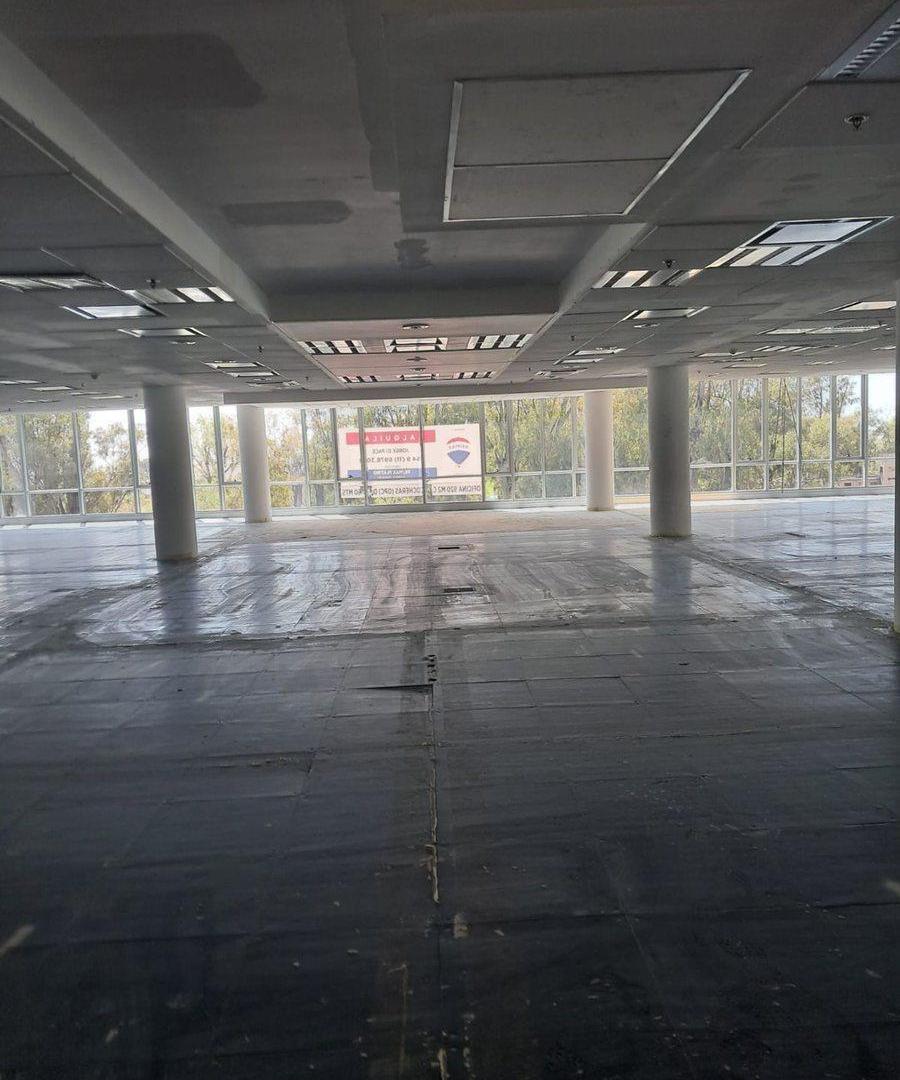 Foto de OFICINAS 930 m2 PLANTA LIBRE en OLIVO, 18 cocheras, imagen 5