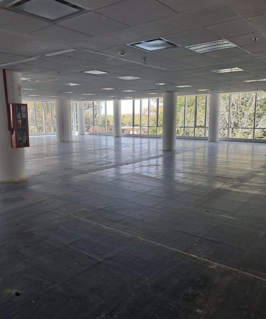Foto de OFICINAS 930 m2 PLANTA LIBRE en OLIVO, 18 cocheras, imagen 3