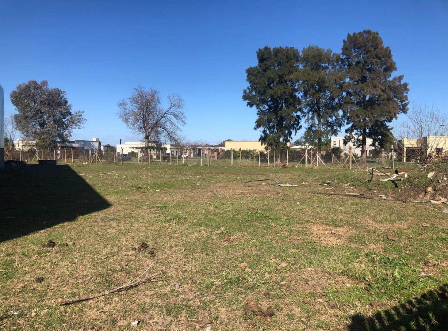 Foto de Terreno / Lote, Zelaya, Nazarre, Pilar, imagen 5