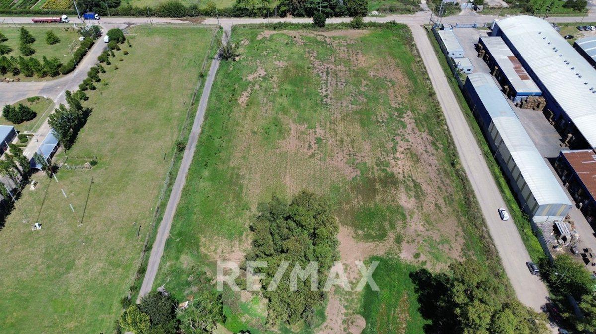 Foto de VENTA 5 HECTAREAS RESIDENCIALES MORENO, imagen 4