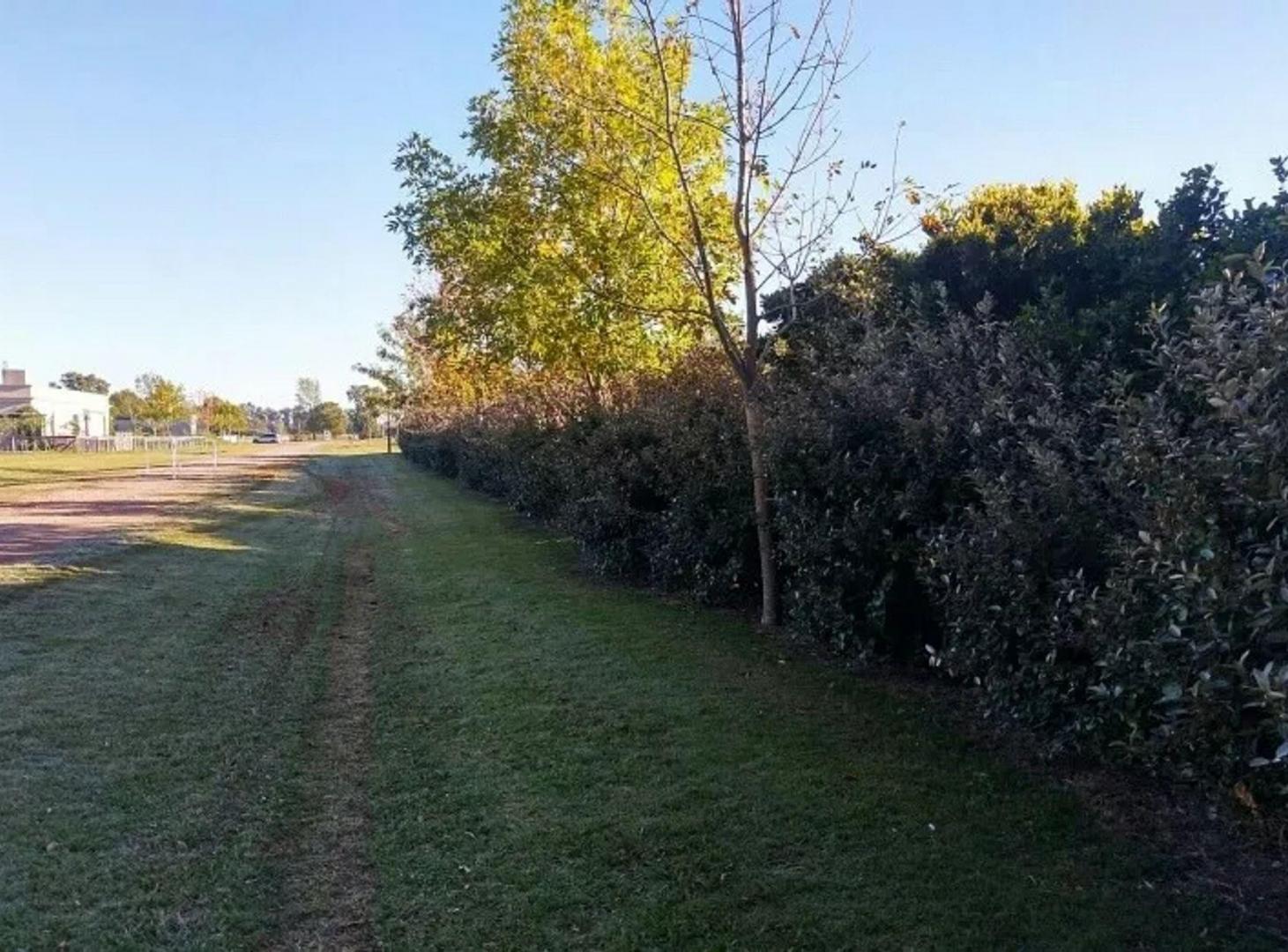 Foto de Casa 3100m2 LOTE LAS RANITAS MANZANARES, imagen 5