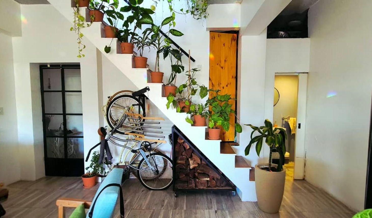 Foto de CÁLIDO PH, CON ALMA BOHO E IMPRONTA URBAN JUNGLE, imagen 1