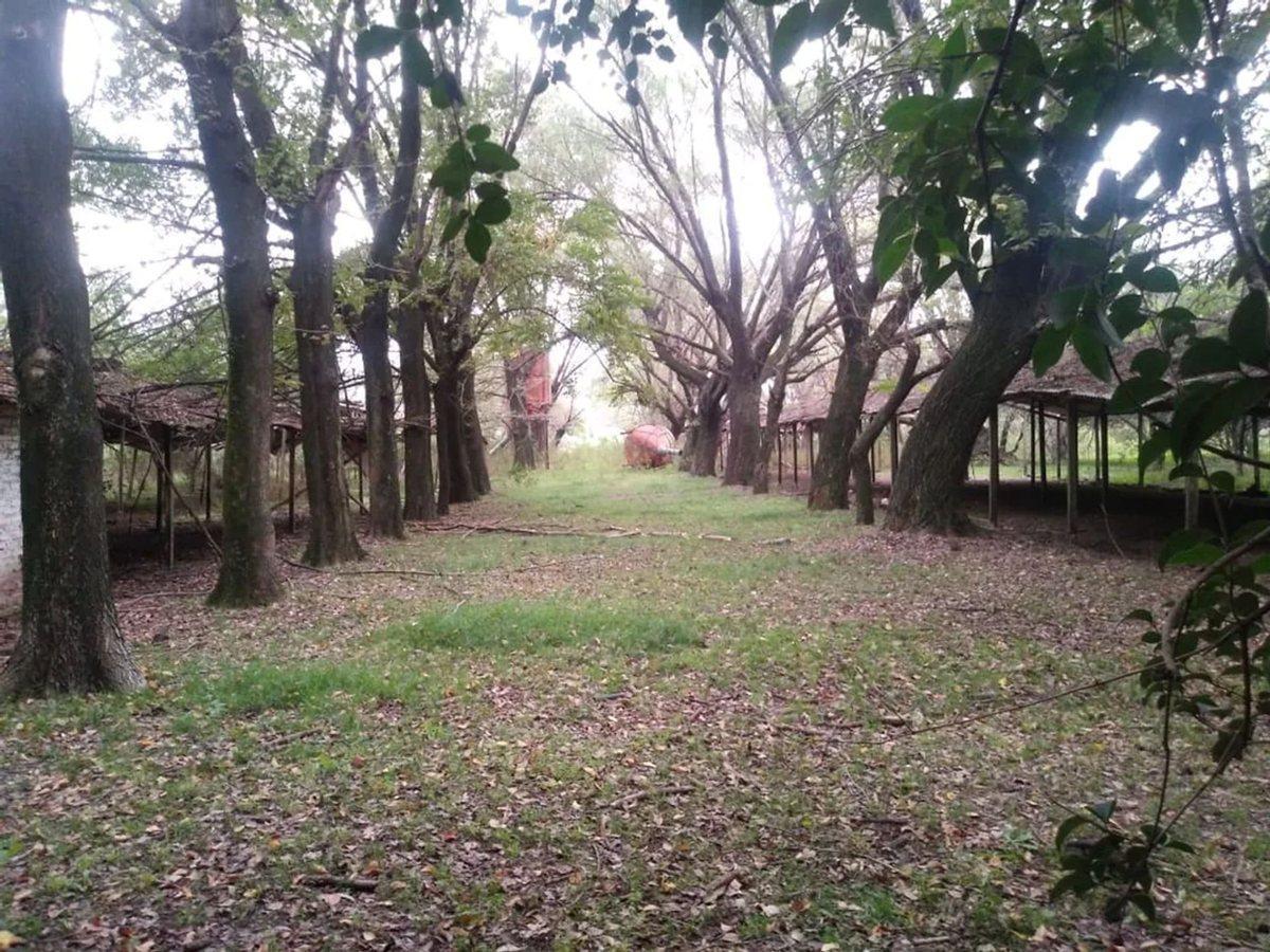 Foto de Venta de loteo/terr desarrollo, La Lonja Pilar, imagen 5