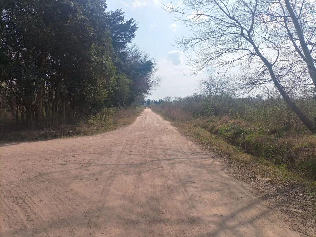 Foto de Venta de loteo/terr desarrollo, La Lonja Pilar, imagen 3