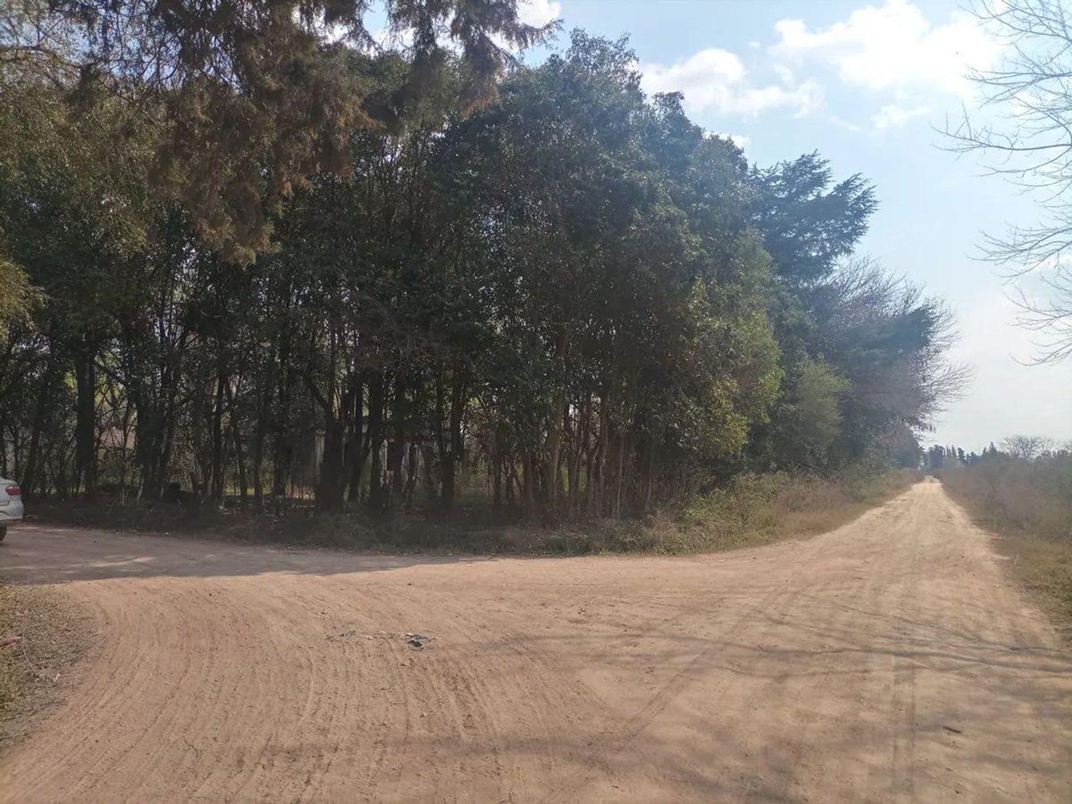 Foto de Venta de loteo/terr desarrollo, La Lonja Pilar, imagen 1