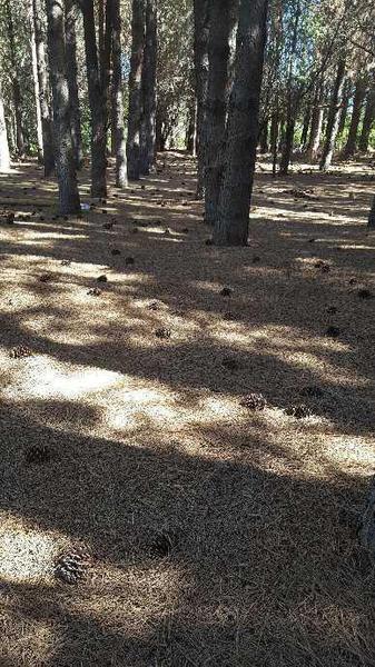 Campo en Venta en San Carlos de Bariloche 2