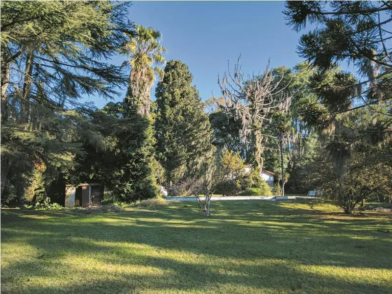 Terreno de 7500m2 sobre Ruta 9. Casa a reciclar. Funes. 4