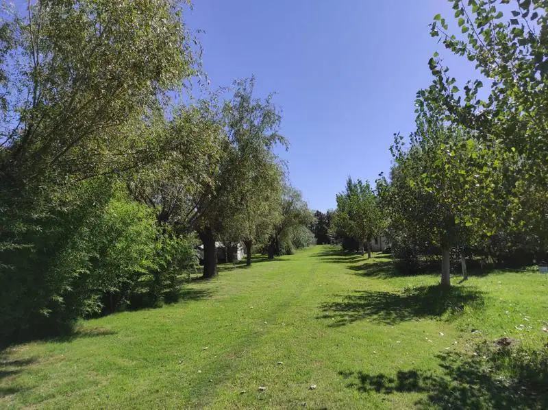 Campo - Funes 4