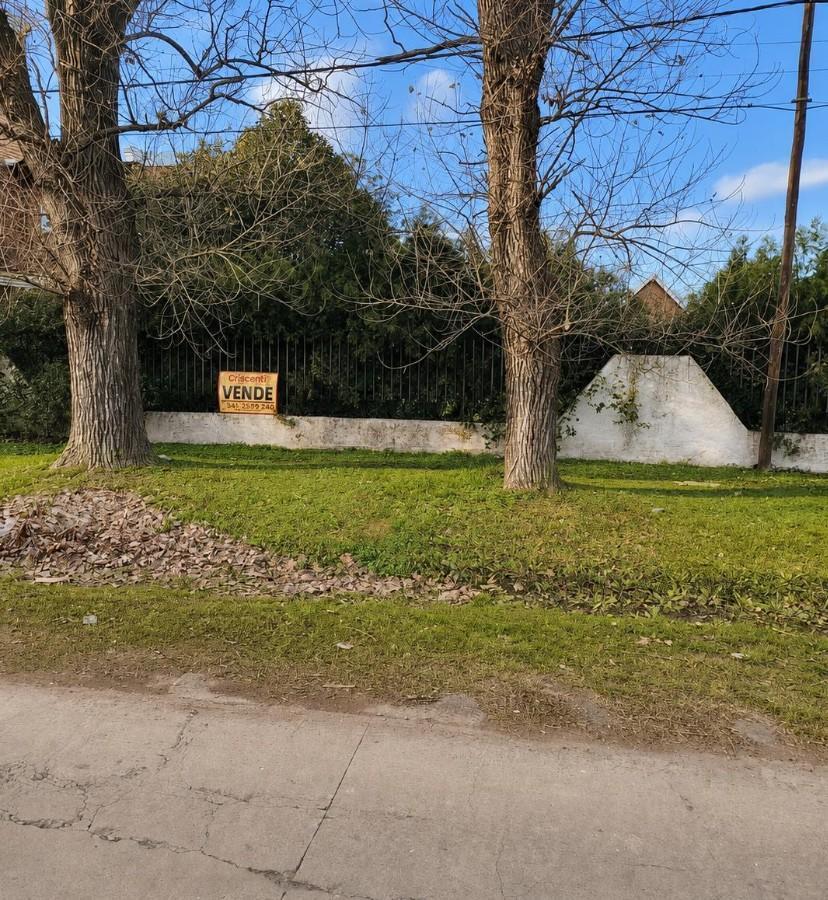 Foto de Lote sobre avenida Mitre cerca de Ruta 9. Con potencial comercial, imagen 2