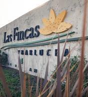 Foto de Lote en venta en Fincas Ybarlucea | Escriturado | Servicios |, imagen 2