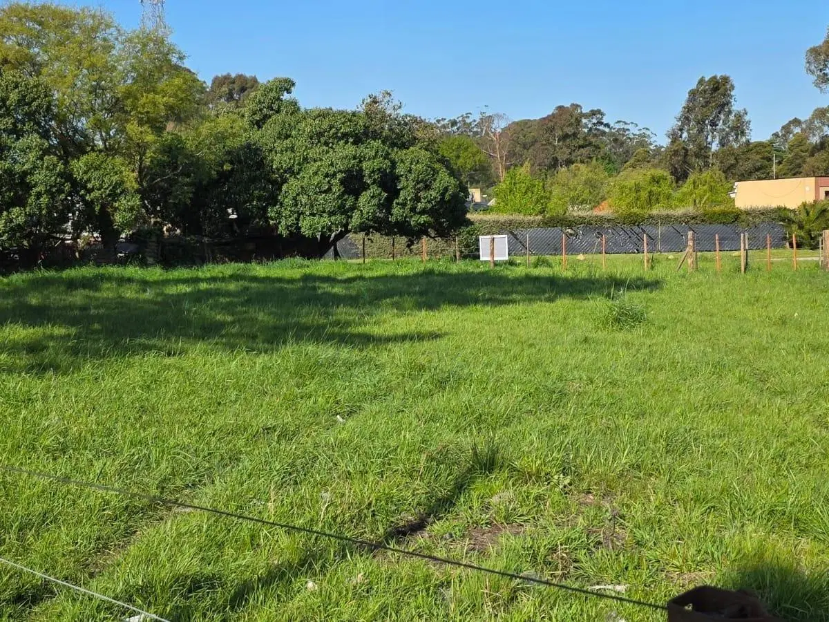 Terreno en Santa Celina 5