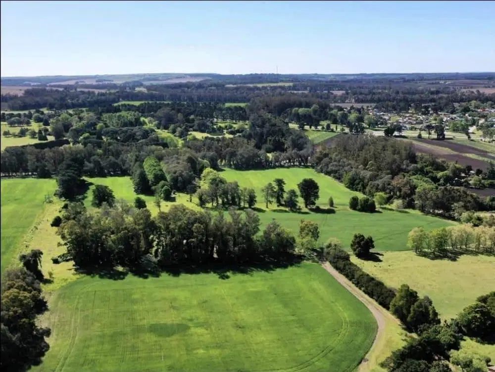 Venta Campo 75 Has Ruta 88 y 515 Batán 8