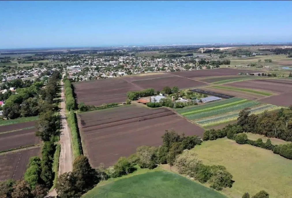 Venta Campo 75 Has Ruta 88 y 515 Batán 2
