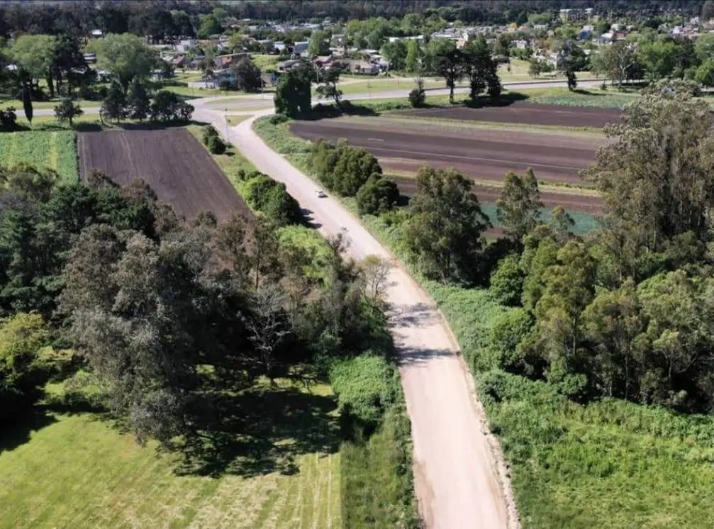 Venta Campo 75 Has Ruta 88 y 515 Batán 1