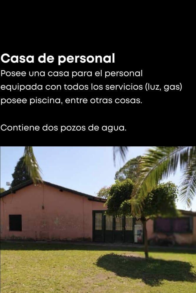 Foto de Venta Campo 75 Has Ruta 88 y 515 Batán, imagen 5