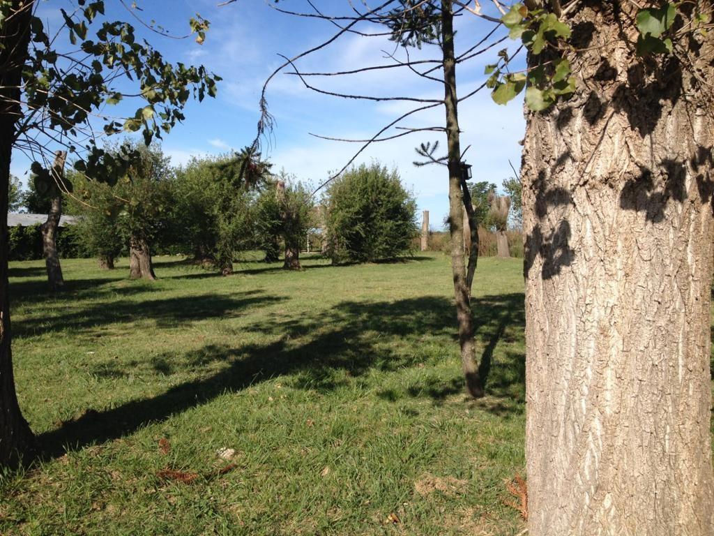 Campo en Venta en Cañuelas 2