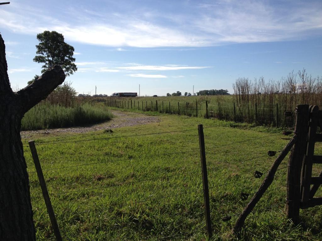 Campo en Venta en Cañuelas 1
