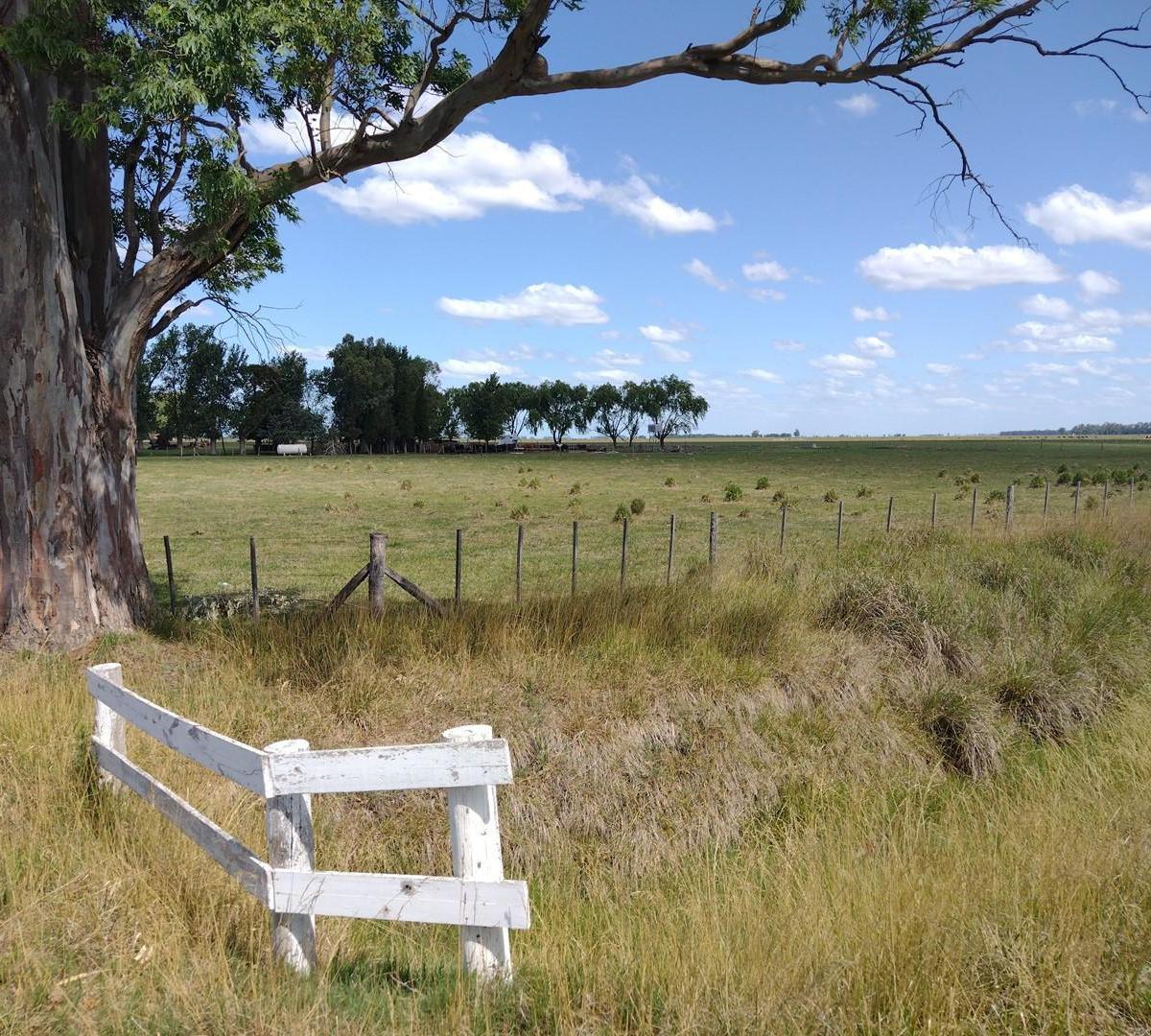 Campo en Venta en Cañuelas 5