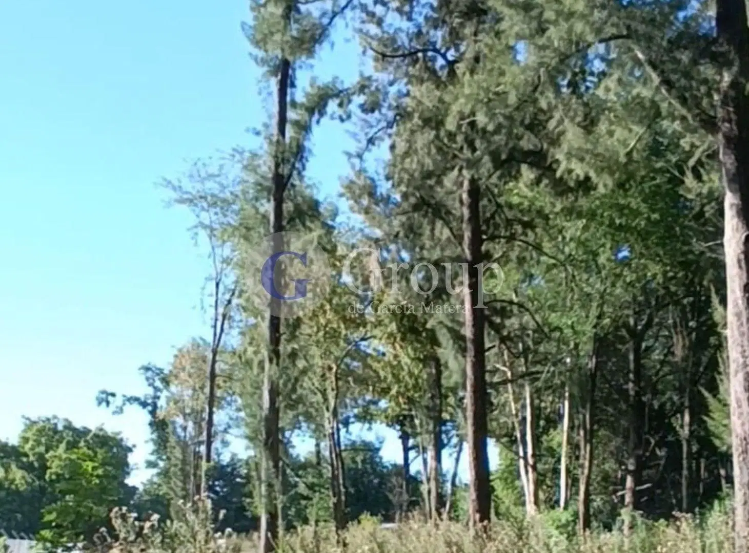 Terreno Lote en Venta en Robles del Monarca, Pilar, G.B.A. Zona Norte 2