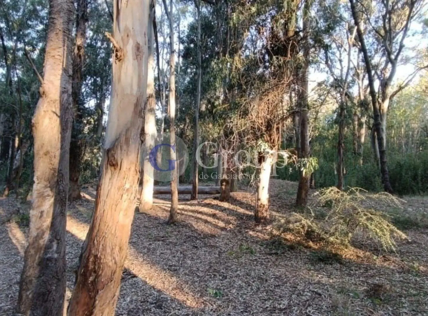Terreno Lote  en Venta en La Lucila del Mar, Costa Atlántica, Buenos Aires 5