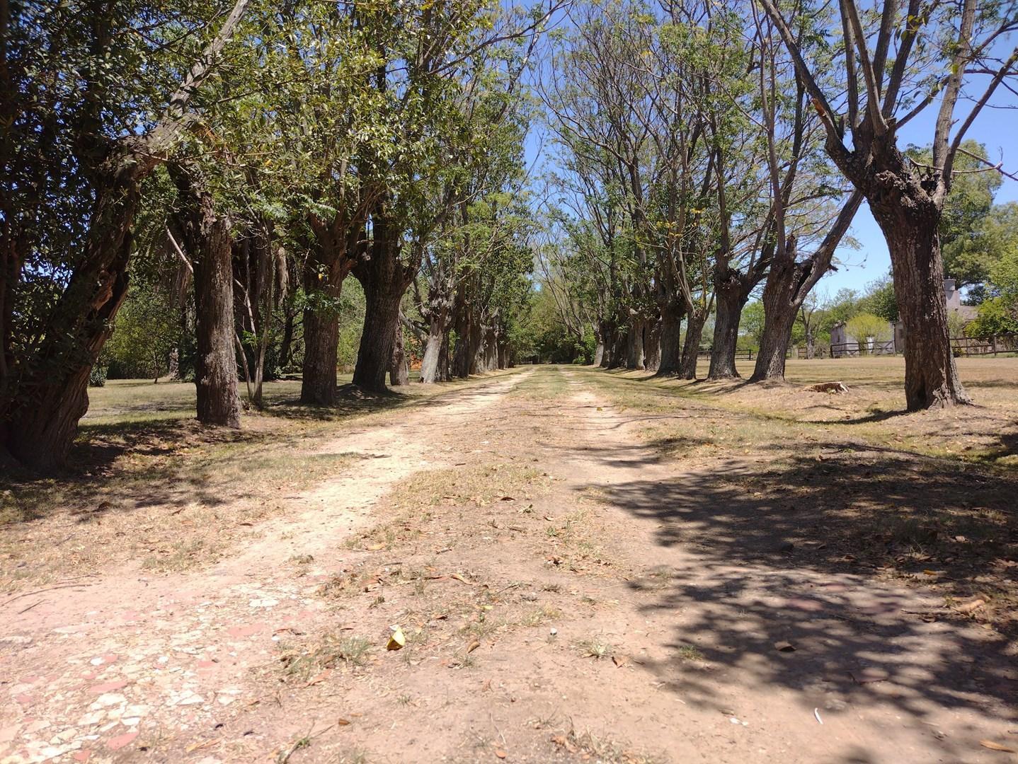 Terreno para loteo en venta en Derqui, Pilar