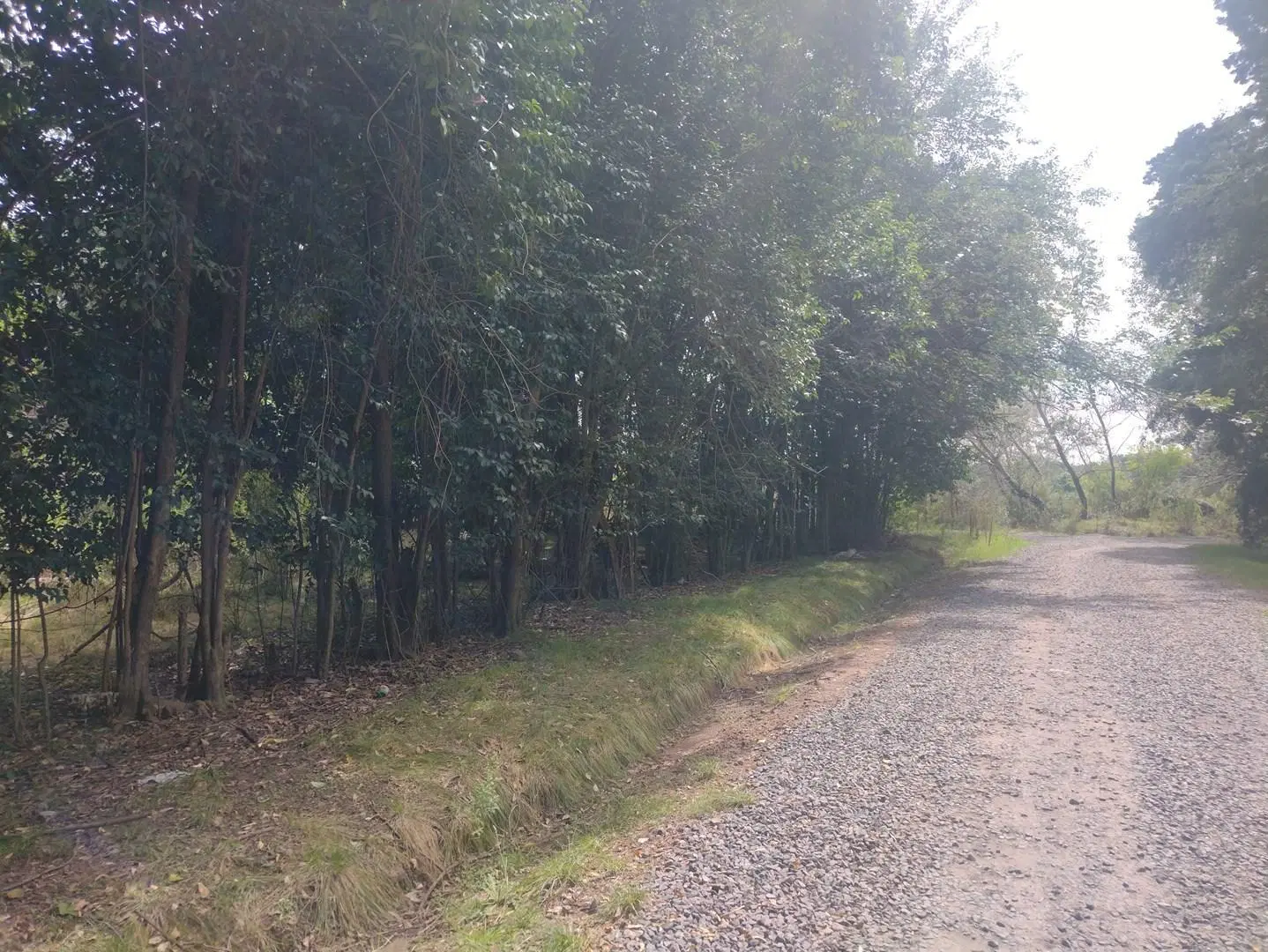 Terreno rural en venta en Pilar 3