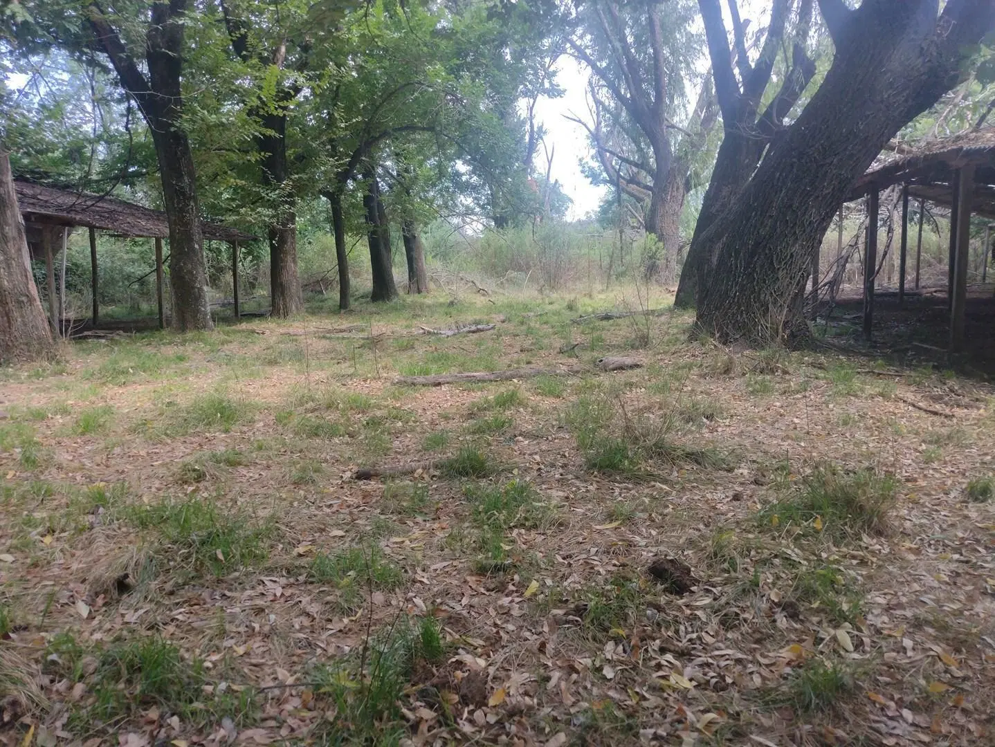 Terreno rural en venta en Pilar 2