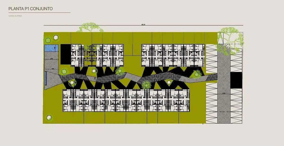 Plano 3
