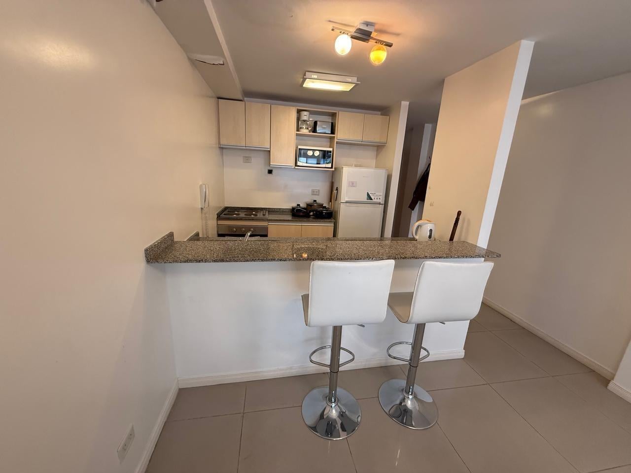 Foto de Departamento en Recoleta, imagen 1