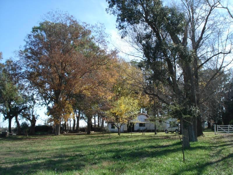 EXCELENTE LOTE EN BARRIO PRIVADO MATISSE!!!!