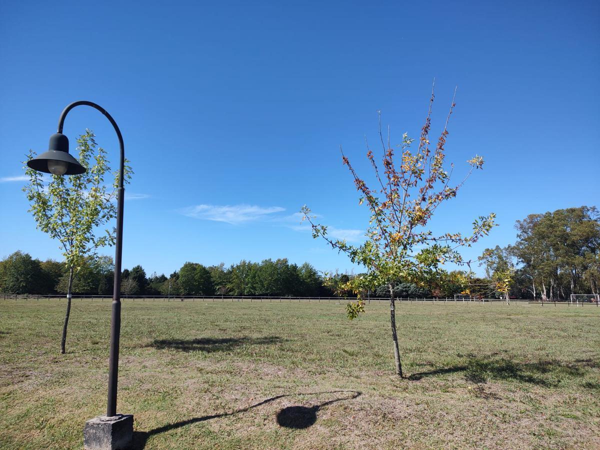 Terreno en El Campo Cardales 1