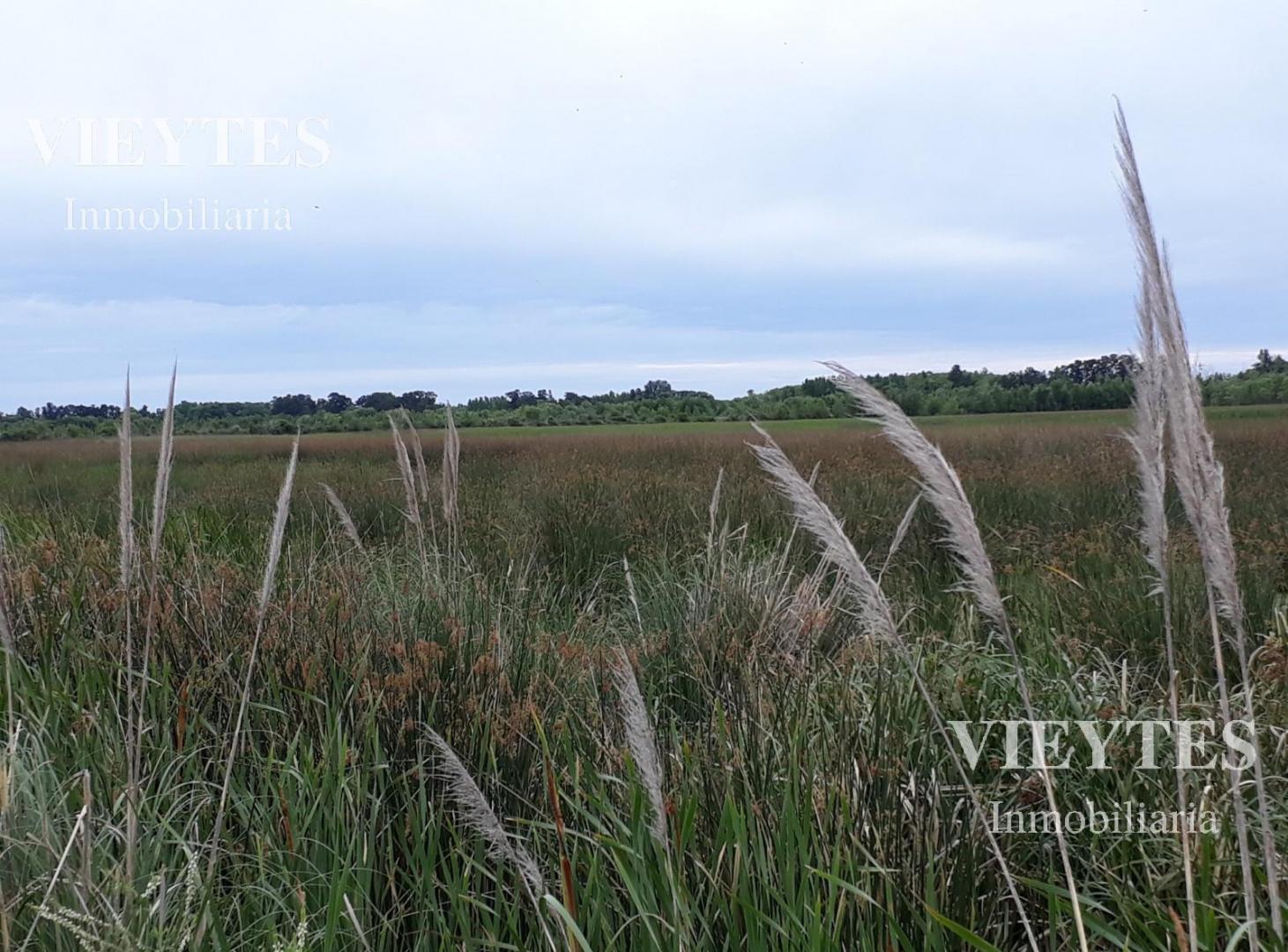 Foto de Campo en venta en El Cazador, imagen 4