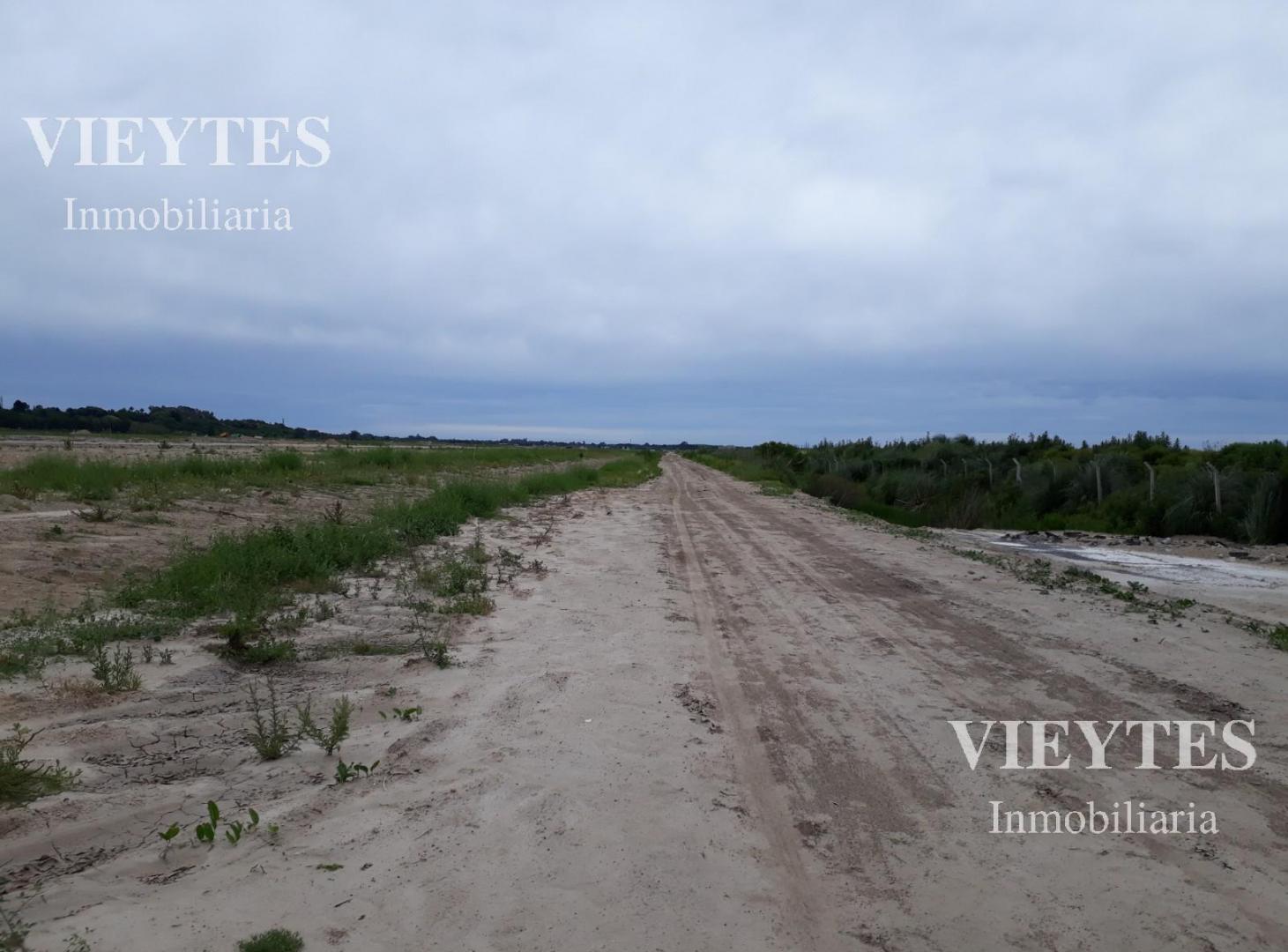 Foto de Campo en venta en El Cazador, imagen 5