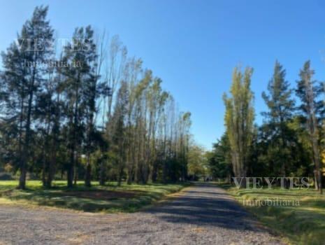 Terreno en venta en Loma Verde con financiación