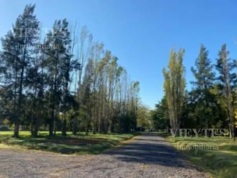 Terreno en venta en Loma Verde 5