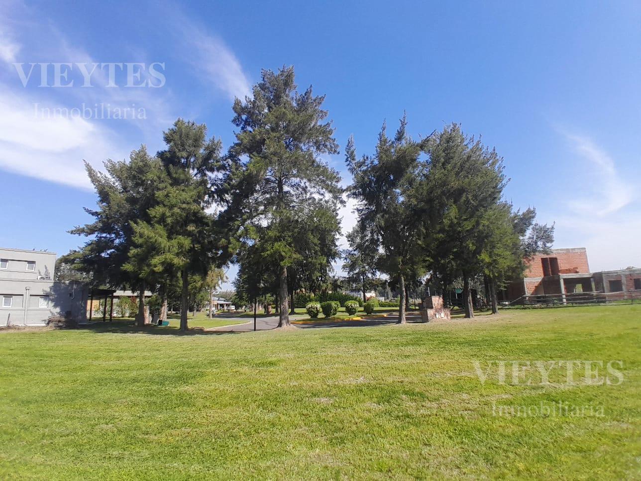 Foto de Terreno en El Cazal, imagen 4