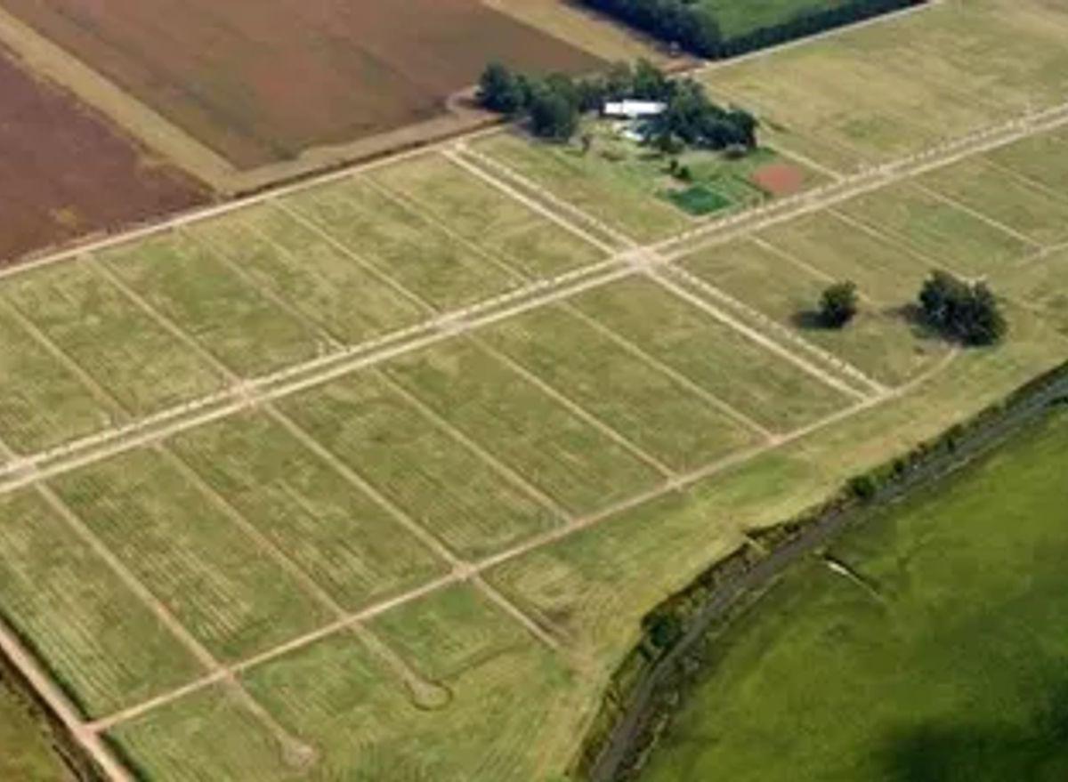 Venta Lote 300 m² Tierra de Sueños - Casilda 3