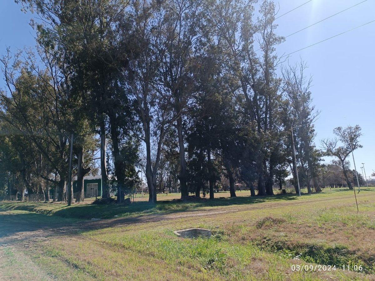 Venta Lote 300 m² Tierra de Sueños Casilda 3
