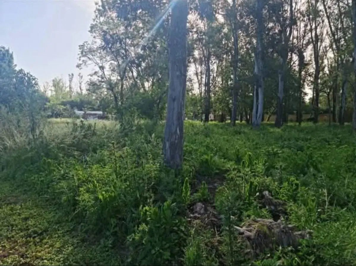 VENTA DE LOTES EN ANDINO 2