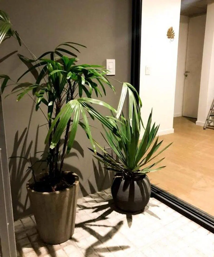 Venta departamento 1 dormitorio Refinerias 5