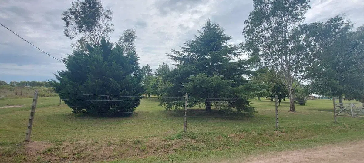 TERRENO/LOTE EN VENTA OLIVEROS 625 m2 3